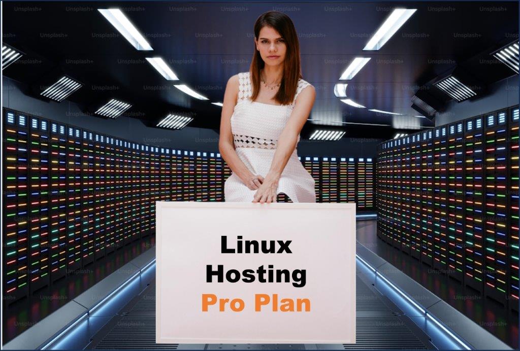 linux hosting windows hosting provider in Annapolis Maryland