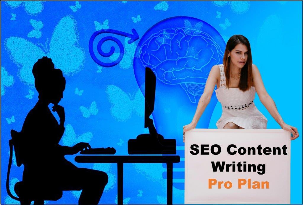 seo content writing agency Annapolis Maryland