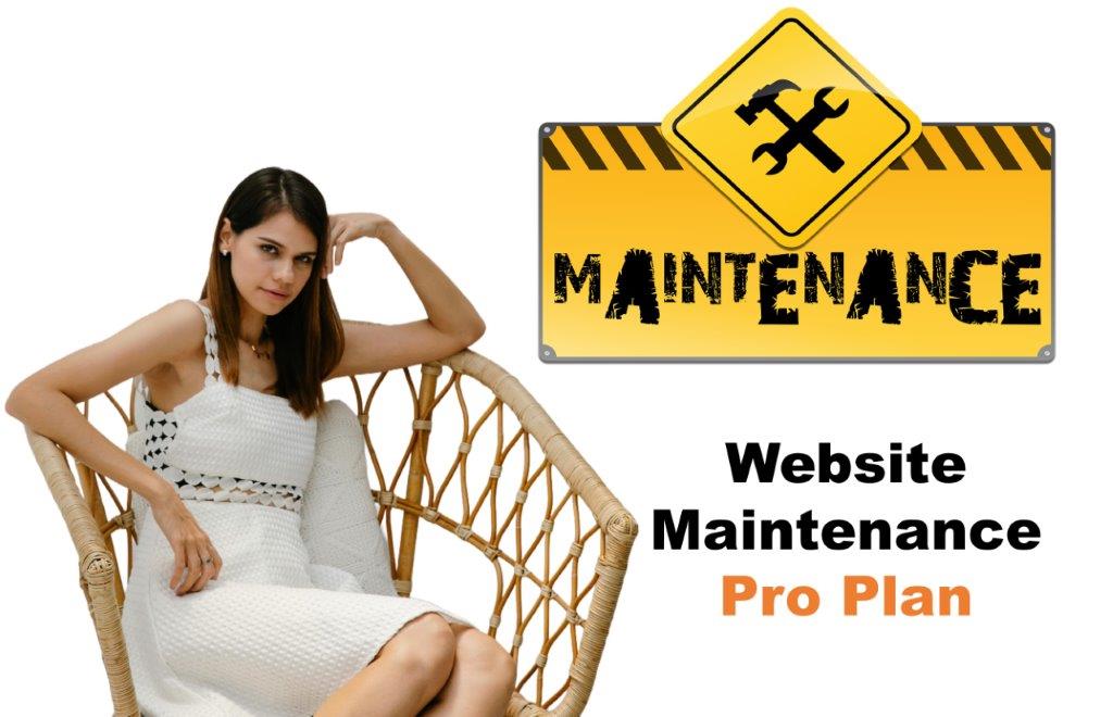 website maintenance agency in Annapolis Maryland