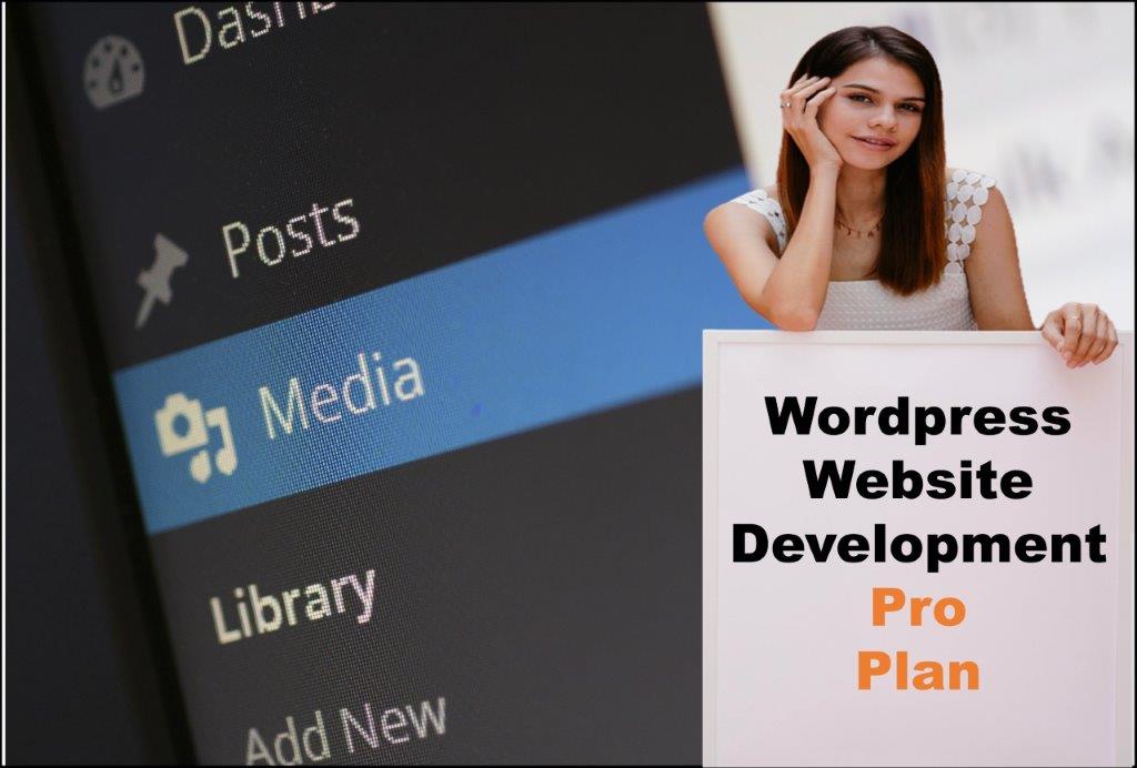 wordpress website designing in Annapolis Maryland
