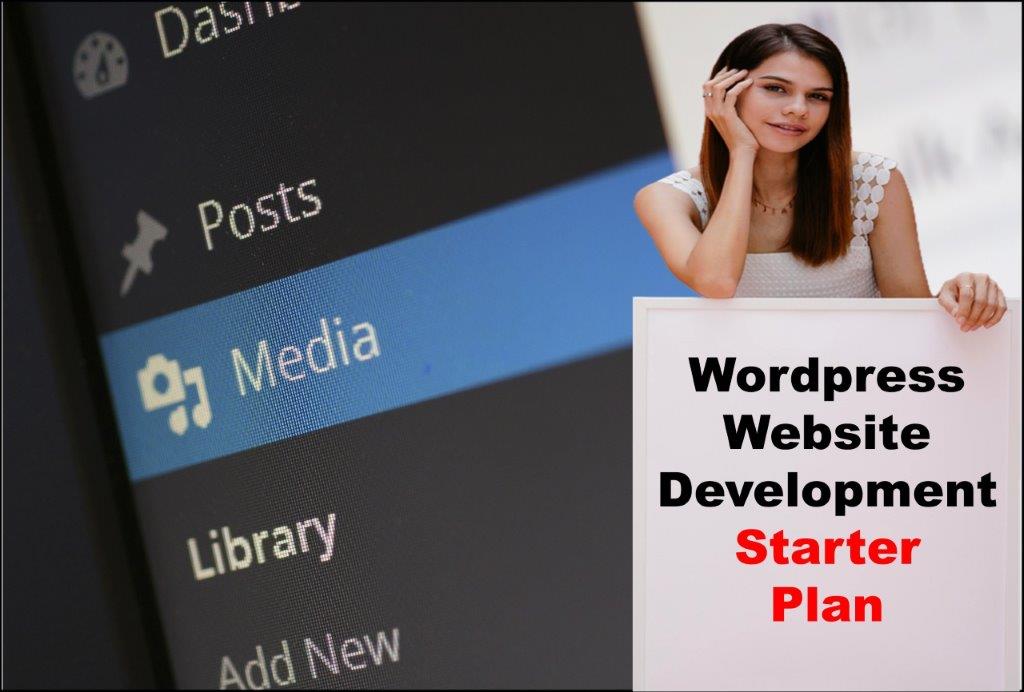 wordpress website development agency in Annapolis Maryland
